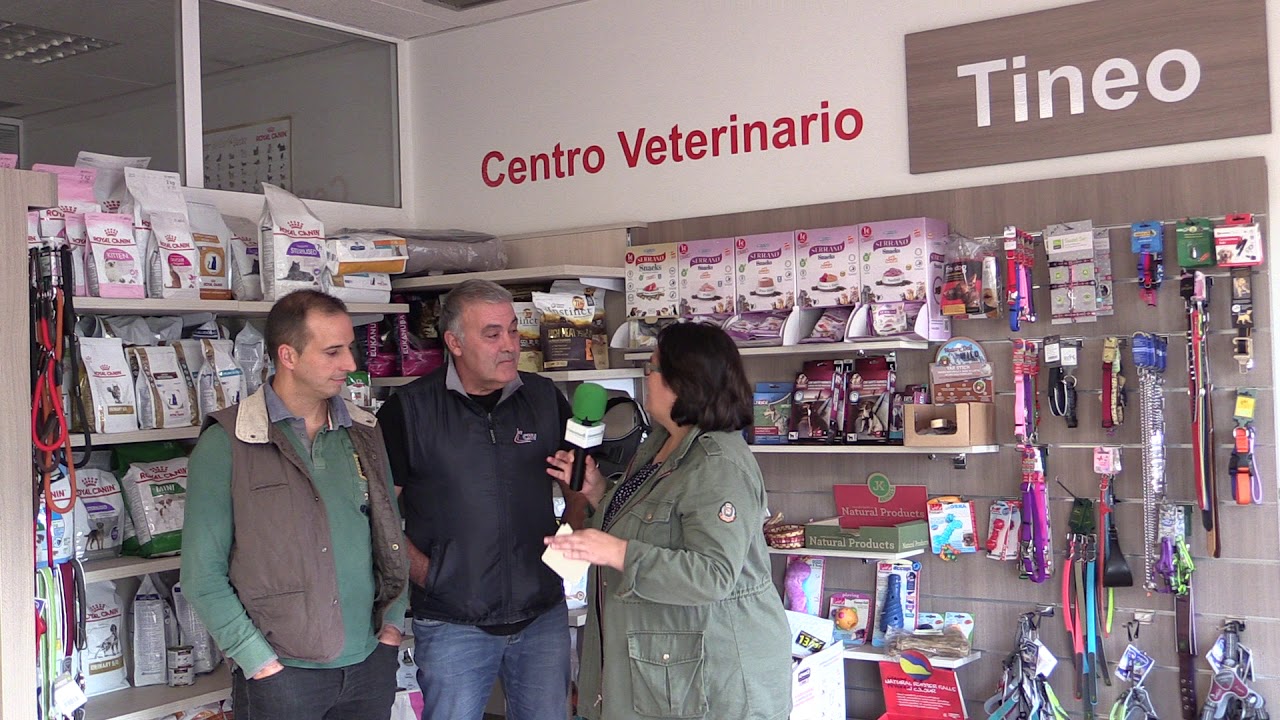 Clínicas Veterinarias en Cangas: Guía Completa